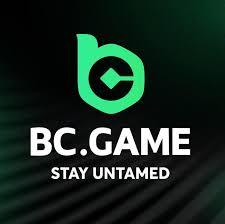 Understanding BC.Game JP Payments A Guide for Players -242720155